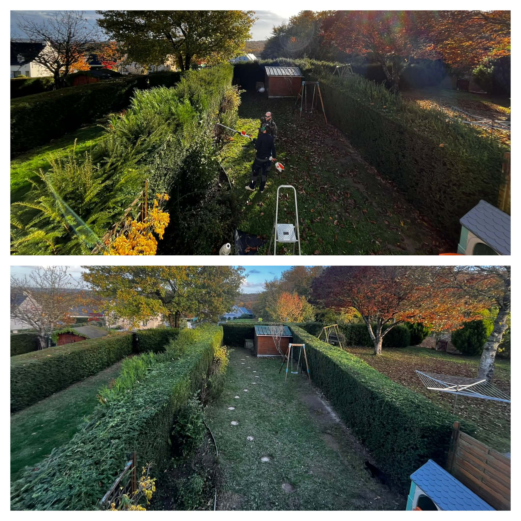 Vue d'ensemble avant/après d'une haie taillée en bordure de jardin